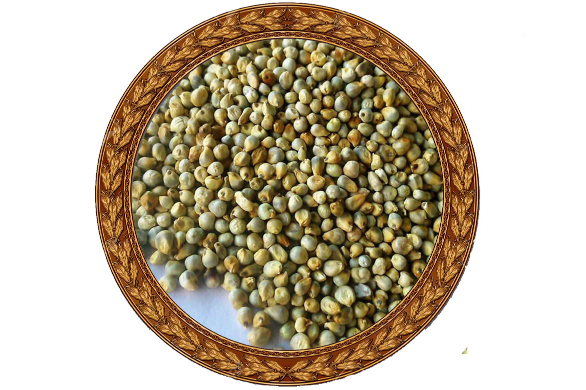 Green Bajra