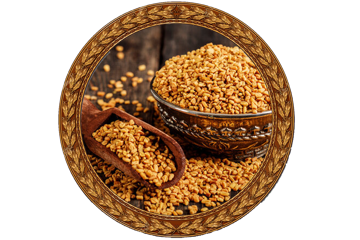 Fenugreek Seeds