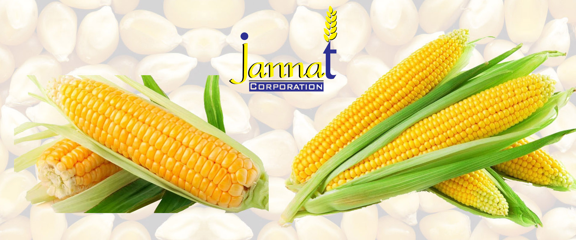 Yellow Corn